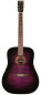 Preview: Anchor Guitars Eagle Flame Purple Burst Ltd.