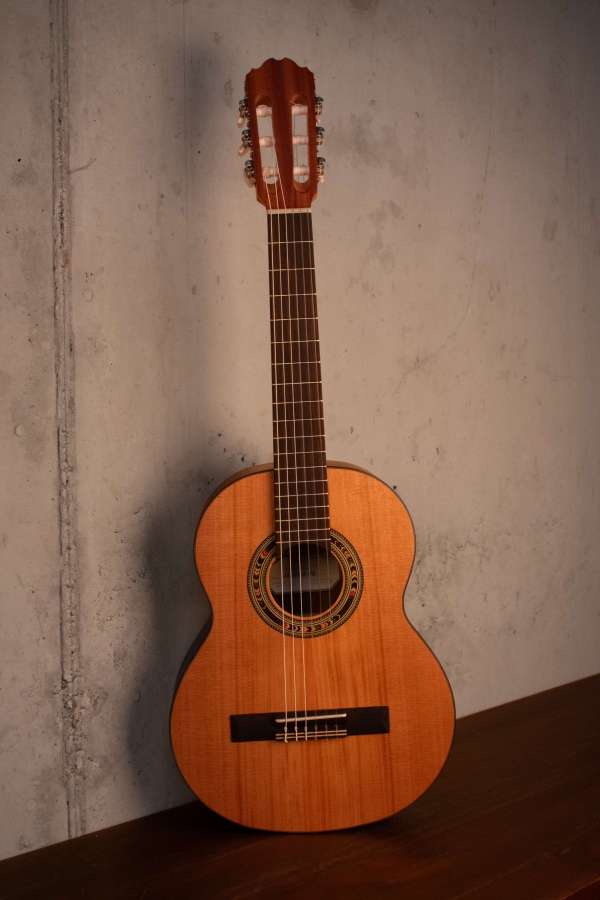 Kremona Soloist R53C OP 1/2 Gitarre