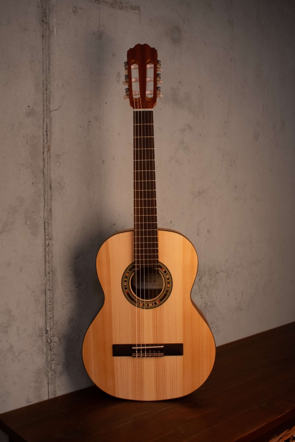 Kremona Soloist R53S OP 1/2 Gitarre