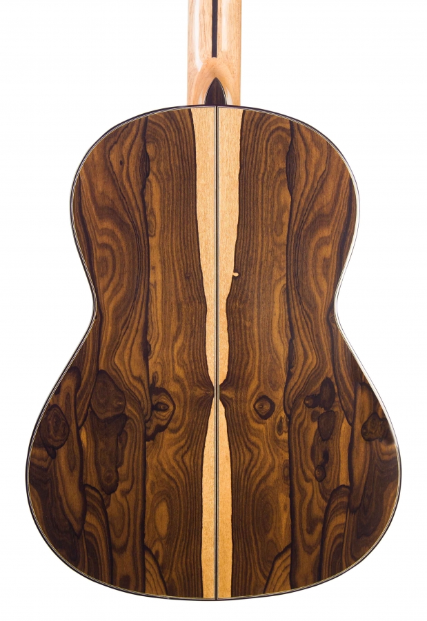 Kremona Luthier Serie 100th Anniversary