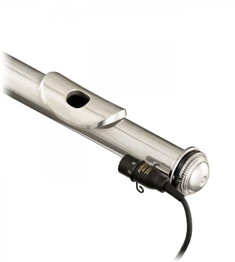 Audix AP41-Flute E